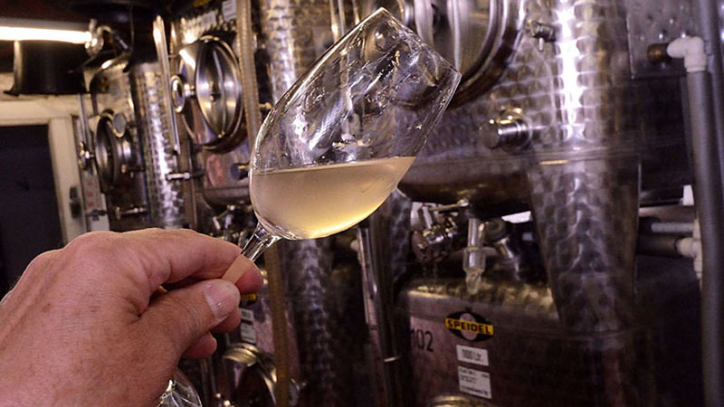 Inspecting the wine from the fermentation tank- Bluebell vineyard