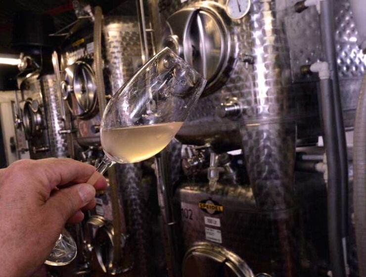 Sampling the wine from the fermentation tank at Bluebell Vineyard Sussex