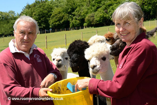 Bruce & Peta Ives - Dunreyth Alpacas