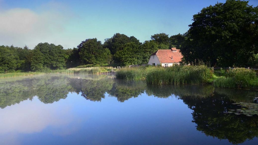 Burton and Chingford Ponds © rosemaryandporkbelly.co.uk