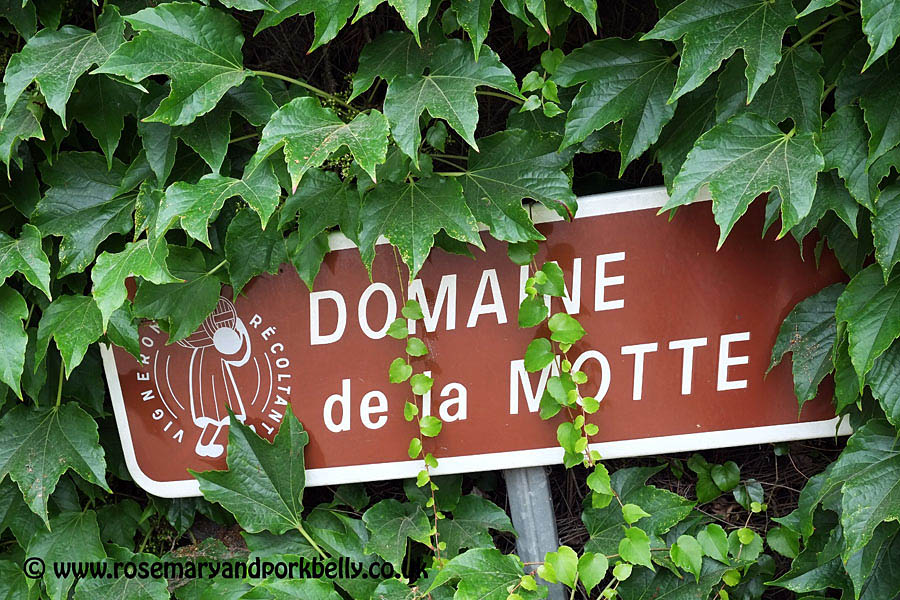 Domaine de la Motte - Rochefort sur Loire Anjou France