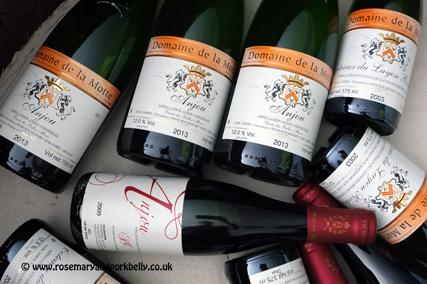 Wine from Domaine de la Motte - Rochefort sur Loire France