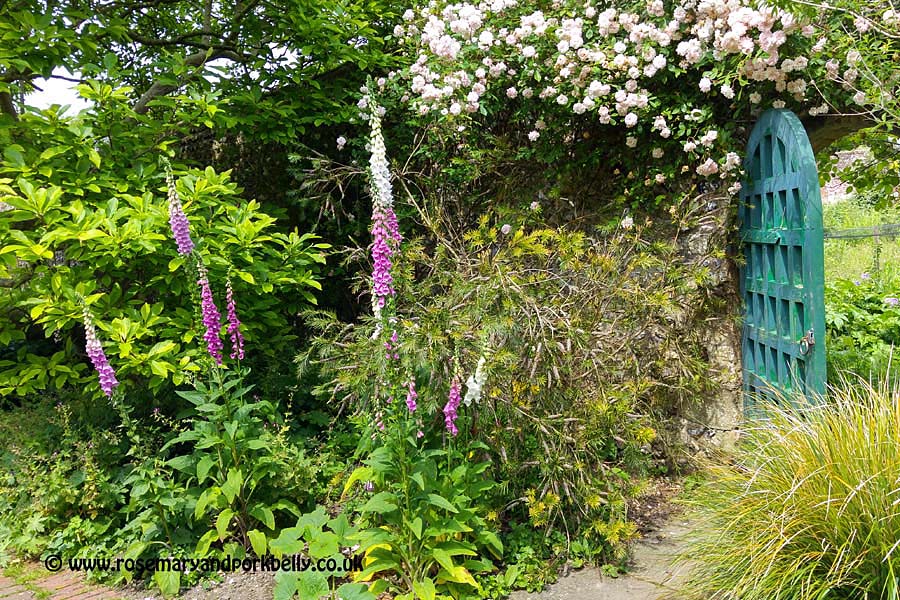 Preston Manor garden Brighton