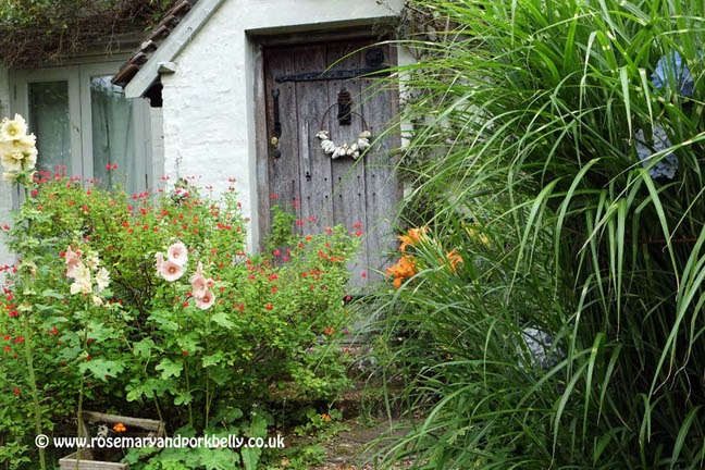 Cottage door - Five Oaks Cottage West Burton near Pulborough