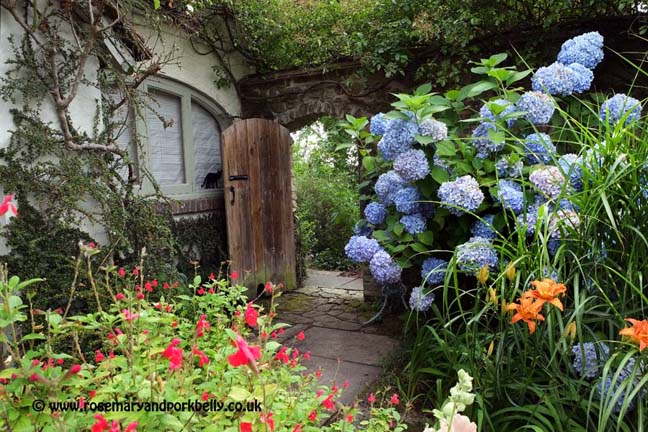 Door and old wall - Five Oaks Cottage West Burton near Pulborough