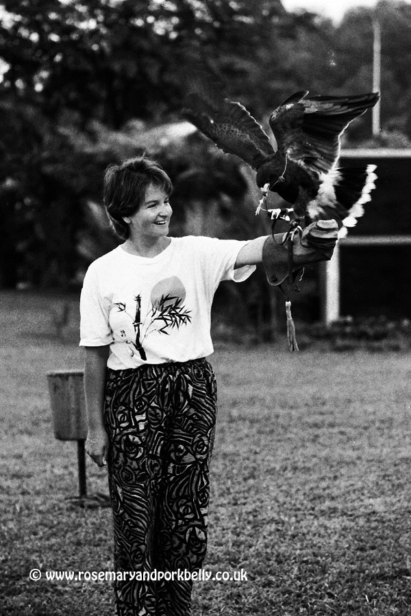 Helping out at Jurong Bird Park - Singapore 1988