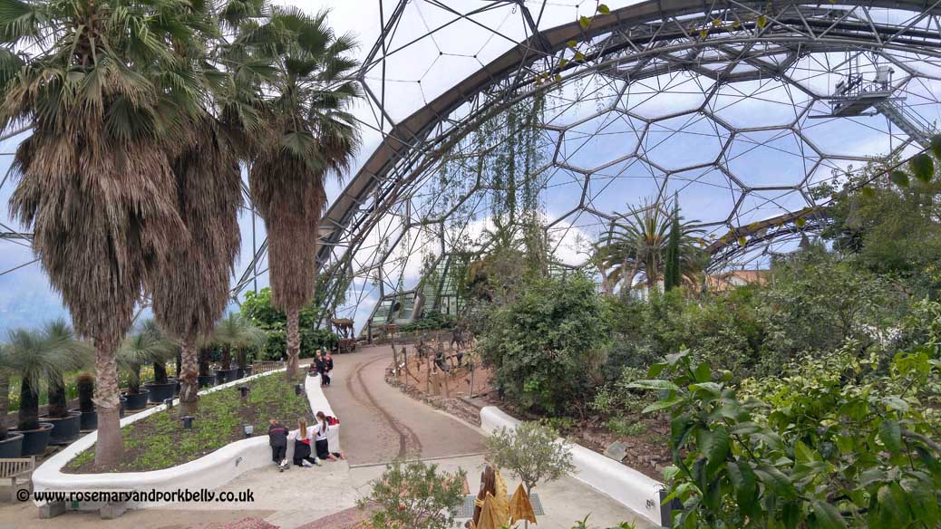 Mediterranean Biome - Eden Project Cornwall