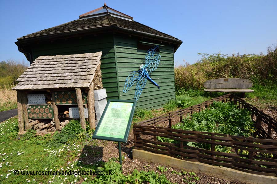 Butterfly Garden - WWT Arundel
