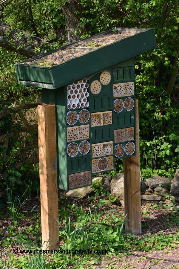Insect Hotel - WWT Arundel