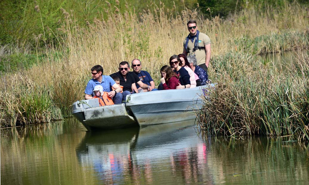 Wetland Discovery boat safari - WWT Arundel West Sussex