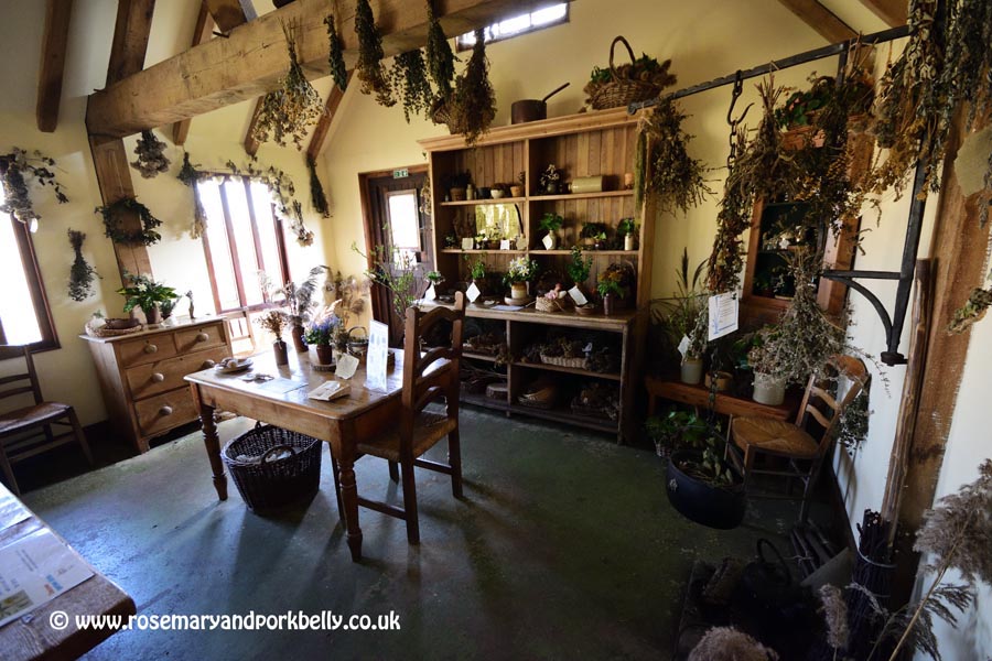 Woodlands Secrets display - WWT Arundel