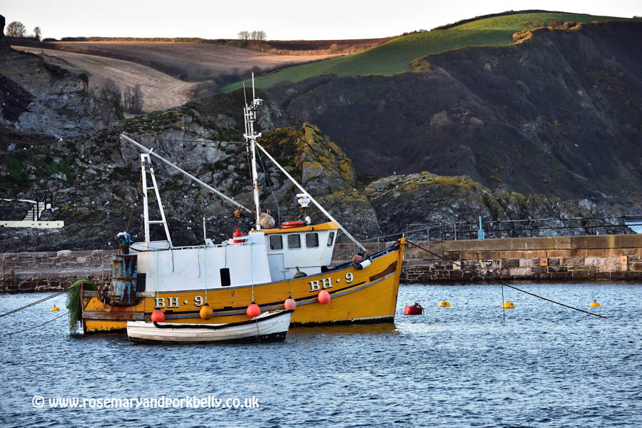 Mevagissey harbour - Mevagissey Cornwall in winter