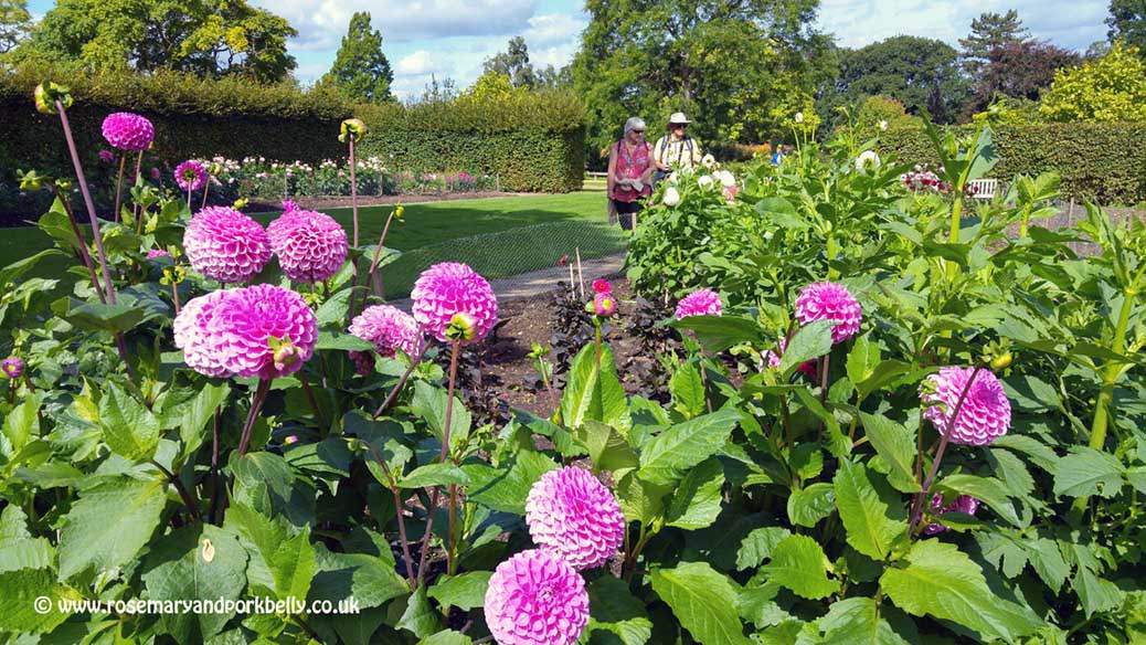 Stroll through the gardens - R H S Wisley