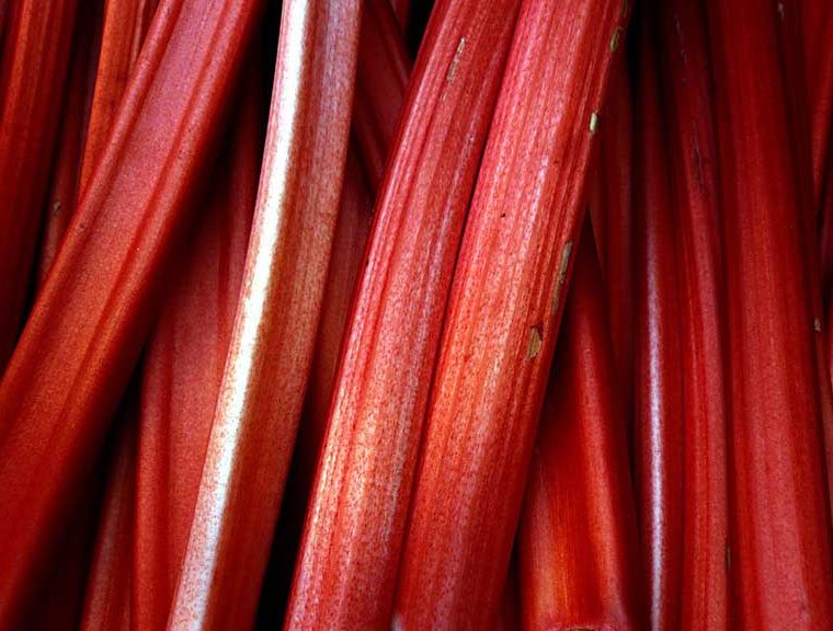 Rhubarb stalks © Cory Doctorow
