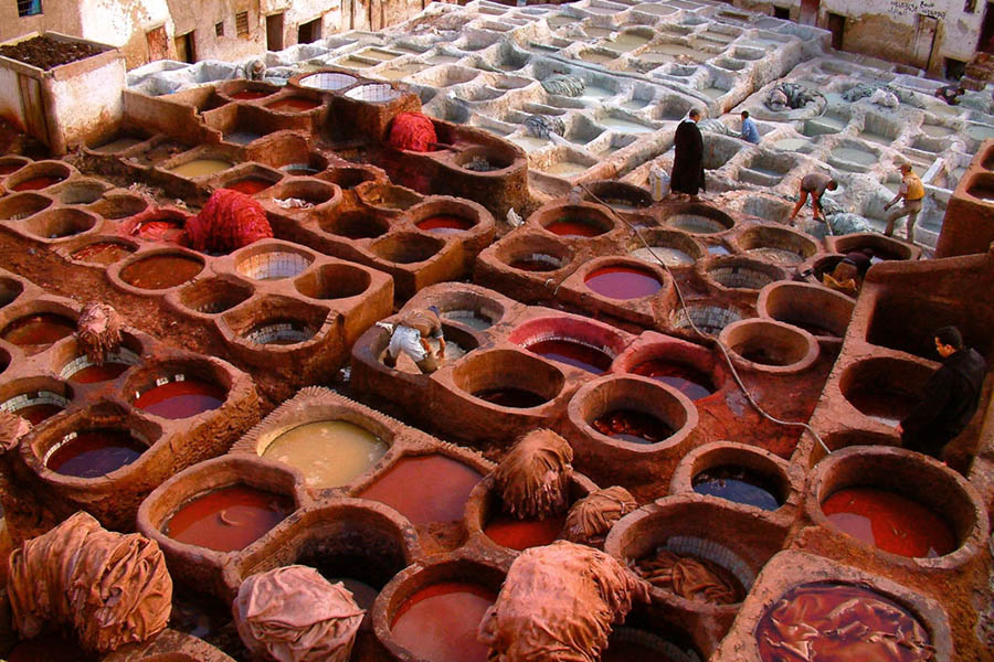 Tannery - Fez Morocco