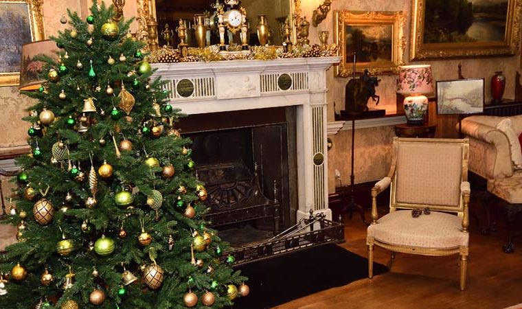 Christmas tree at Preston Manor Brighton