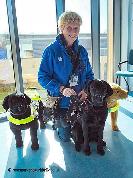 Linda and Sophie at the Guide Dogs National Breeding Centre