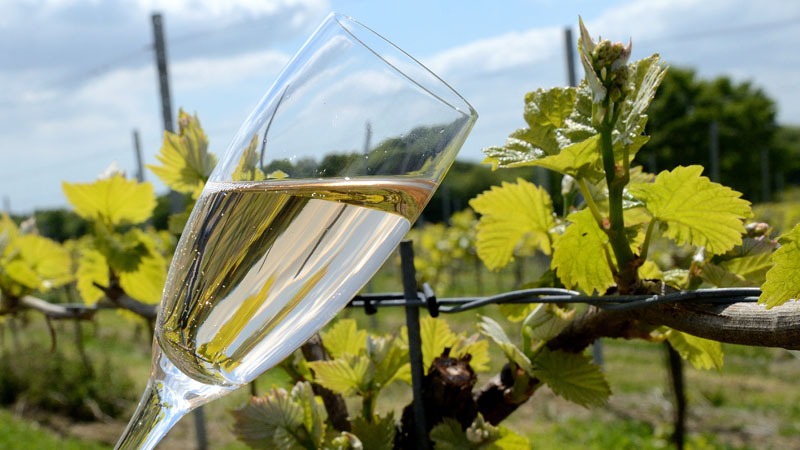 English wine week 2018 © rosemaryandporkbelly.co.uk