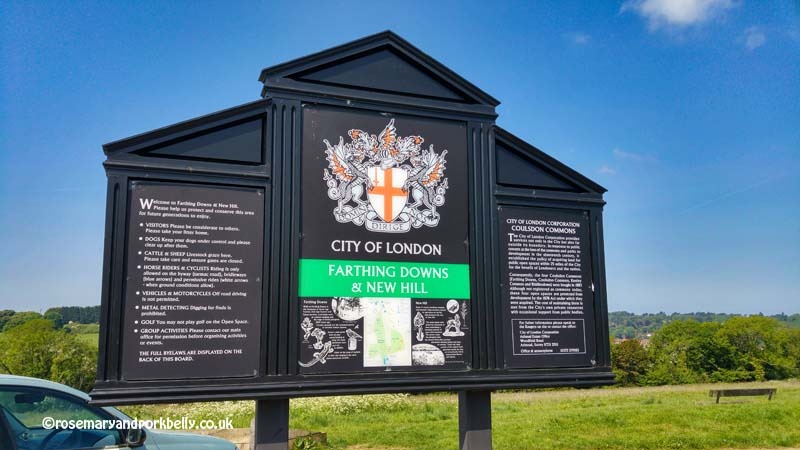 Farthing Downs and New Hill sign
