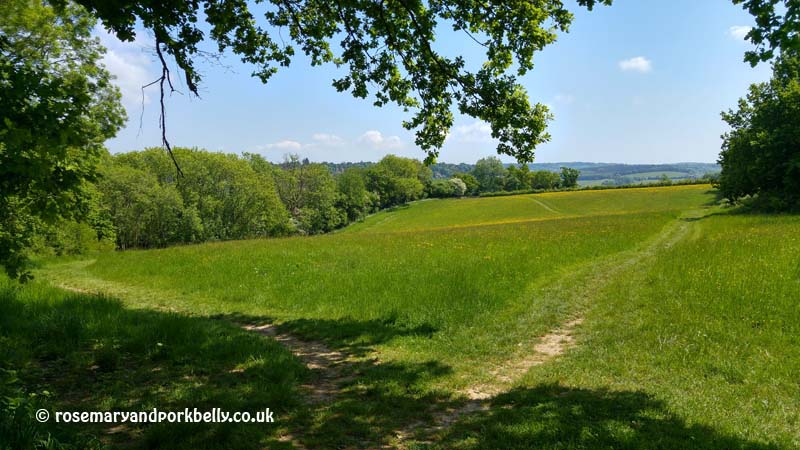The North Downs viewed from Kenley aerodrome