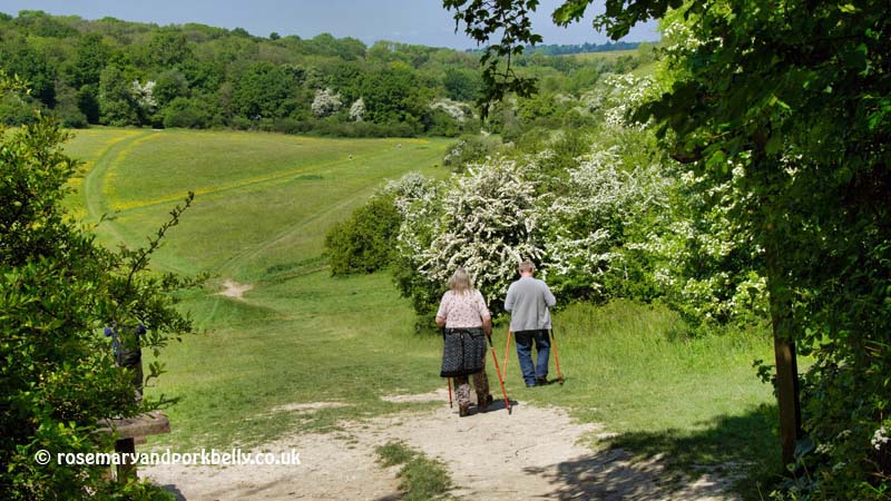 Walkers with Nordic Poles - Happy Valley Coulsdon