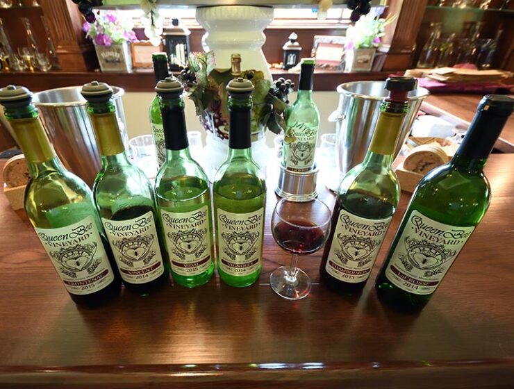Wine bottles on the counter in the tasting room at Queen Bee Vineyard