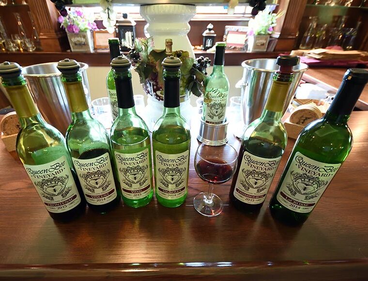 Wine bottles on the counter in the tasting room at Queen Bee Vineyard