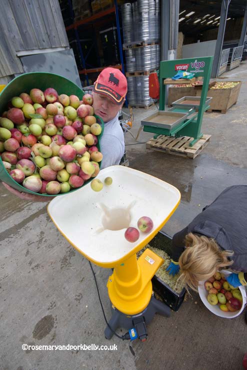 Filling the apple macerator © rosemaryandporkbelly.co.uk