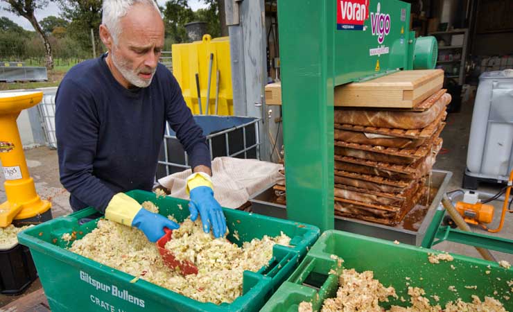 Pressing the chopped apples © rosemaryandporkbelly.co.uk