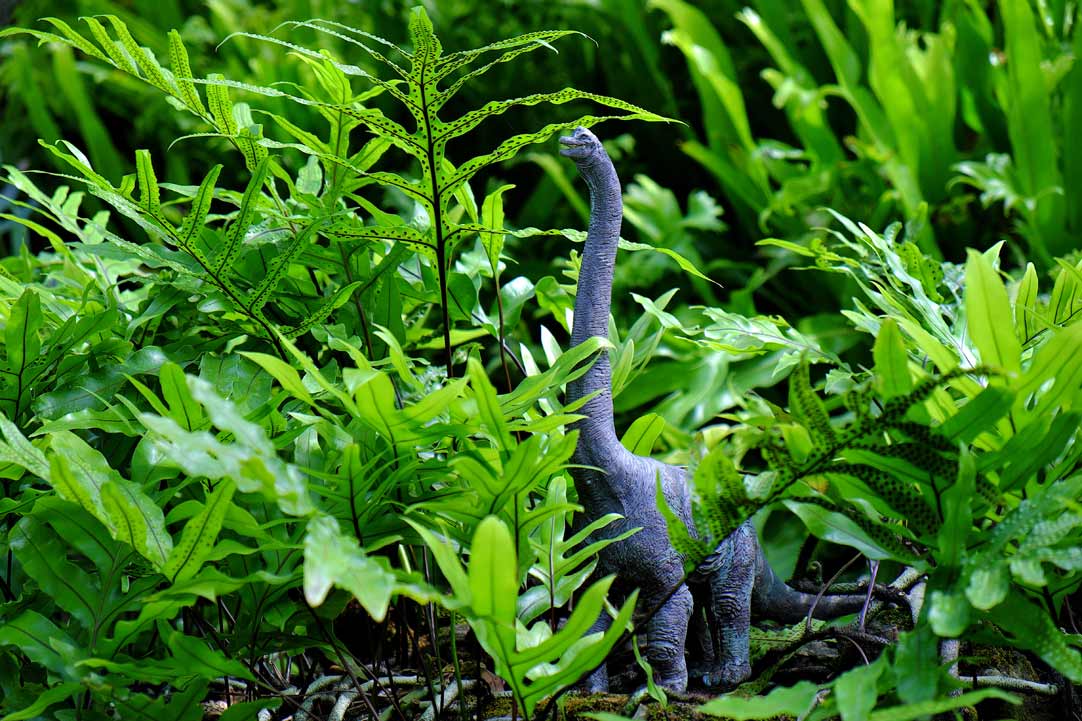 Model dinosaur amongst ferns at Morris Arboretum Philadelphia USA