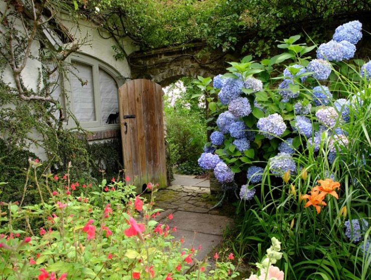 Five Oaks cottage garden, West Sussex © rosemaryandporkbelly.co.uk