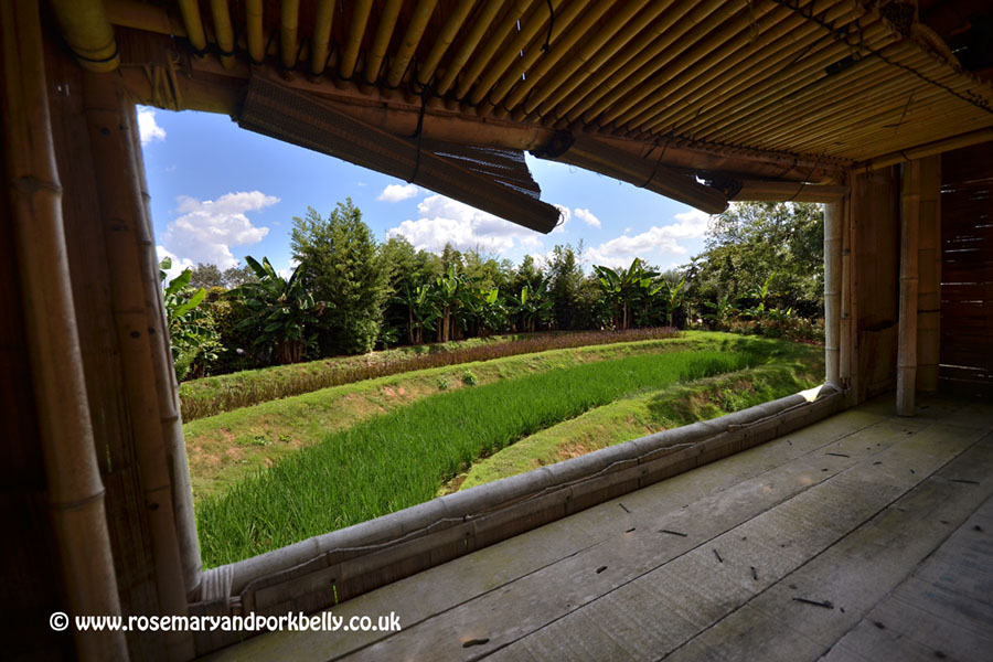 Asian area - Terra Botanica, Angers France © rosemaryandporkbelly.co.uk