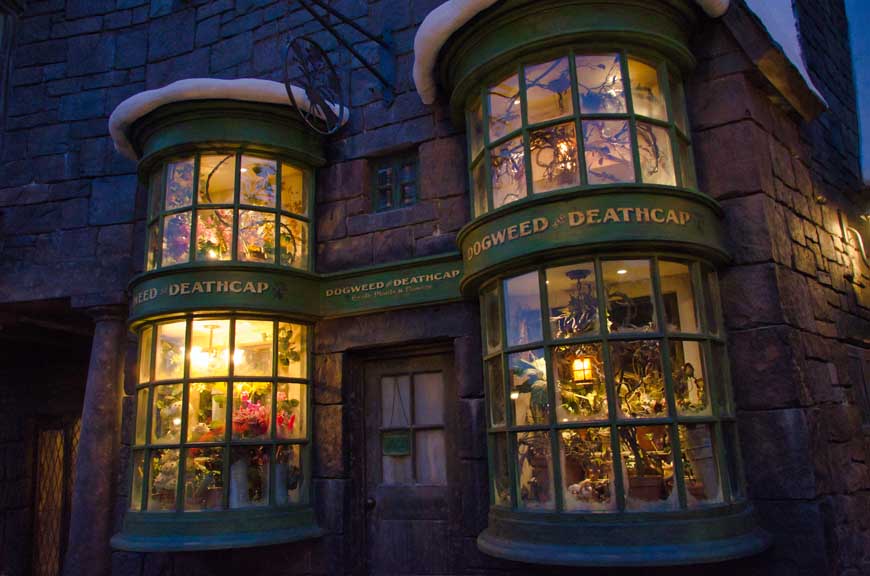 Hogsmeade shop, Islands of Adventure Florida © rosemaryandporkbelly.co.uk