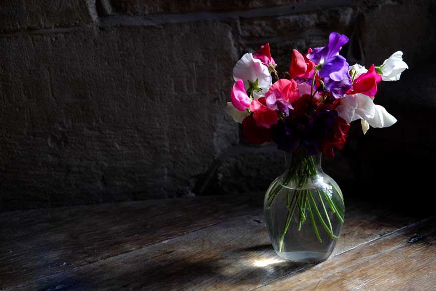 Sweet Peas in a vase at Haddon Hall, Derbyshire © rosemaryandporkbelly.co.uk