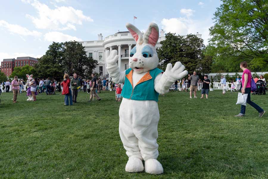 Children attending the White House Easter Egg Roll meet with a costumed Easter Rabbit on the South Lawn of the White House Monday, April 22, 2019, during the 141st White House Easter Egg Roll. (Official White House Photo by Andrea Hanks)