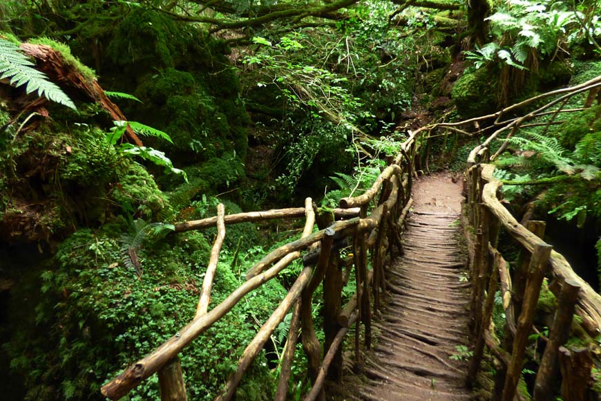 Puzzlewood, Gloucestershire © Chris White, Flickr