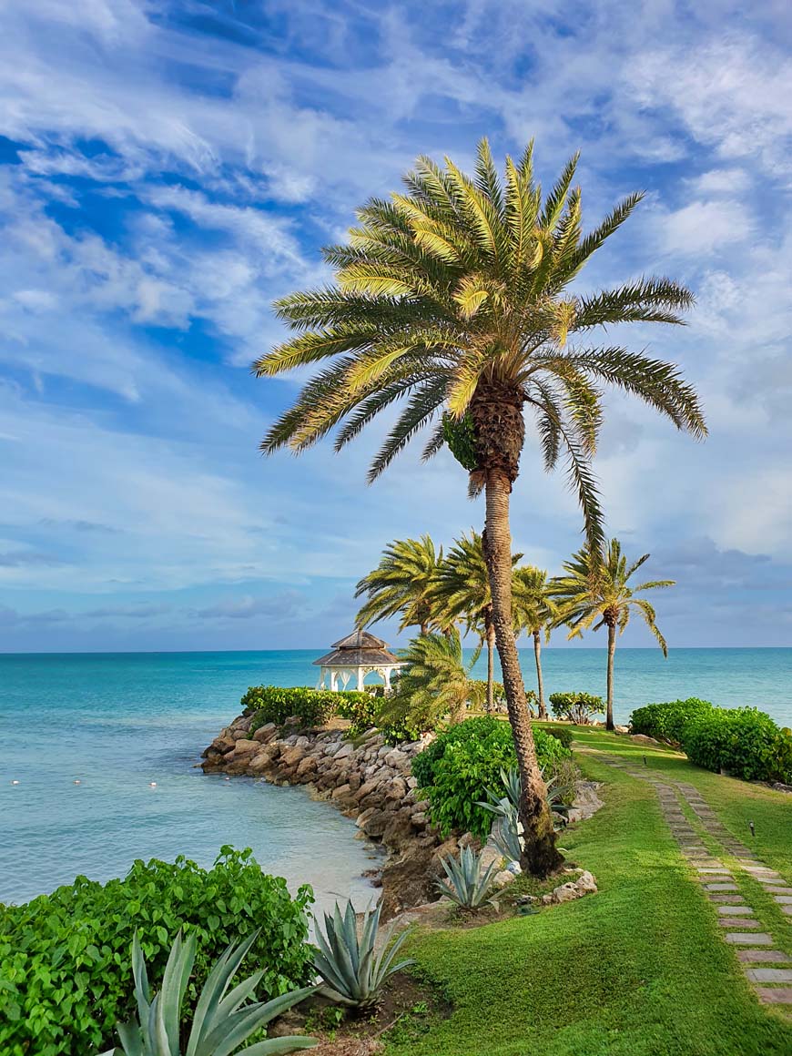 Palm tree and sea view Blue Waters Resort, Antigua © rosemaryandporkbelly.co.uk