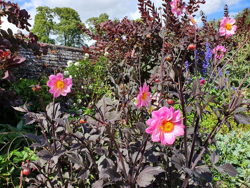 Flower beds Findon Place, West Sussex © rosemaryandporkbelly.co.uk