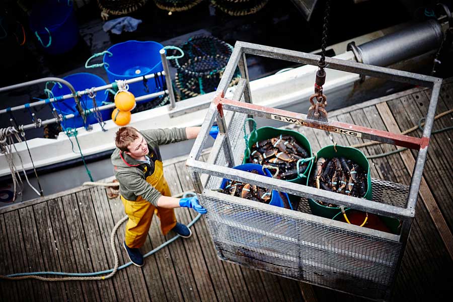 Lobster catch, Jersey © Visit Jersey