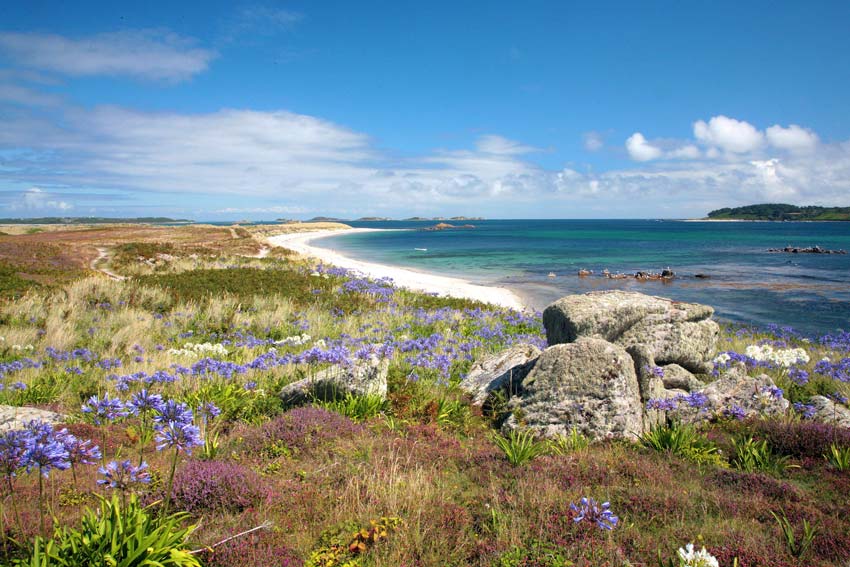 Tresco landscape © Tresco Island