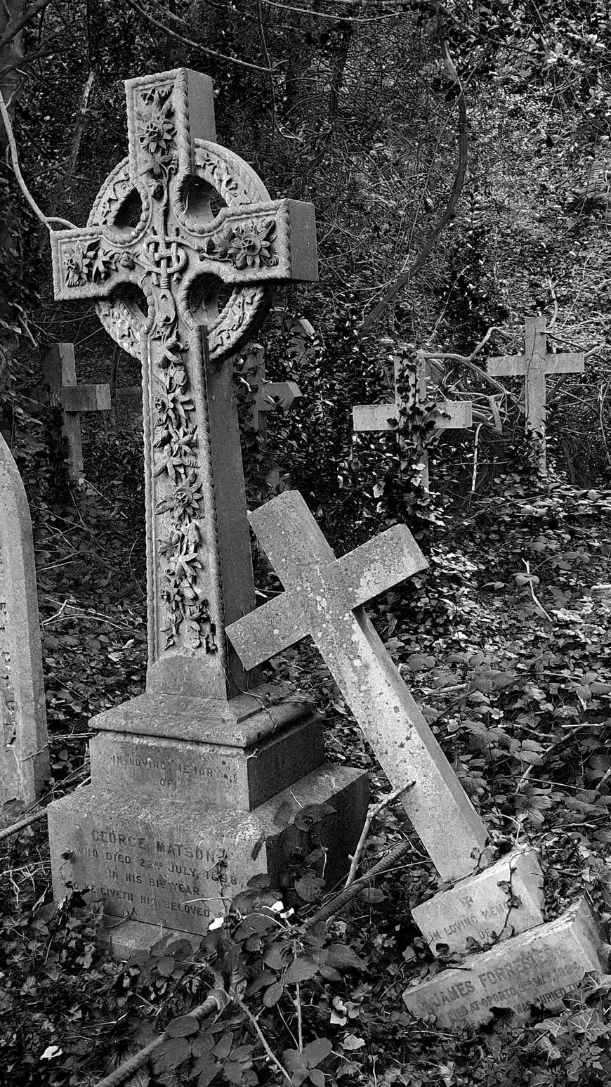 Memorial crosses, Extra Mural Cemetery Brighton