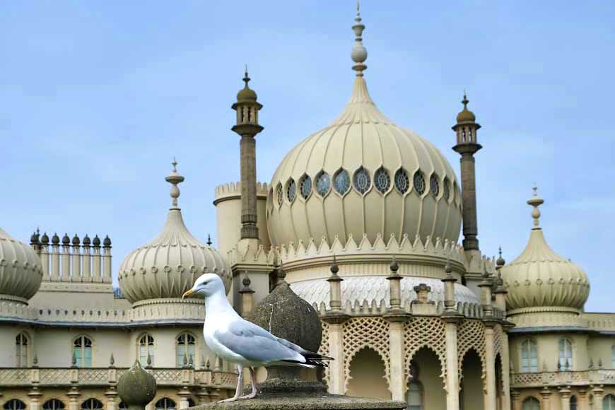 Seagull sitting on stone wall outside Brighton Royal Pavilion East Sussex