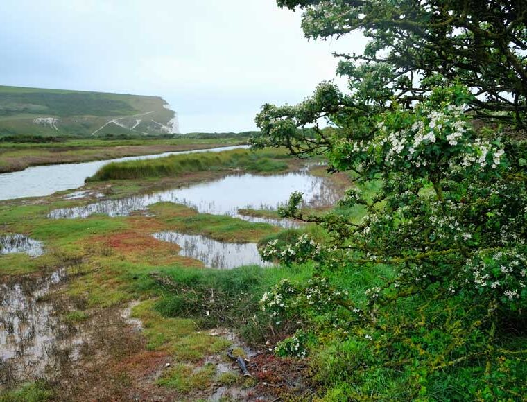 Cuckmere Haven East Sussex ©rosemaryandporkbelly