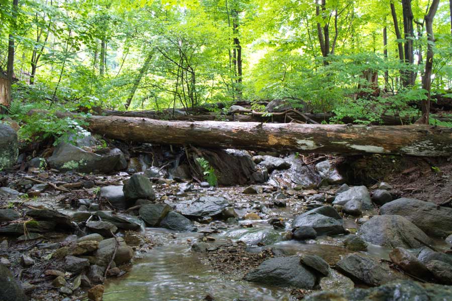Bear Mountain New York State ©rosemaryandporkbelly