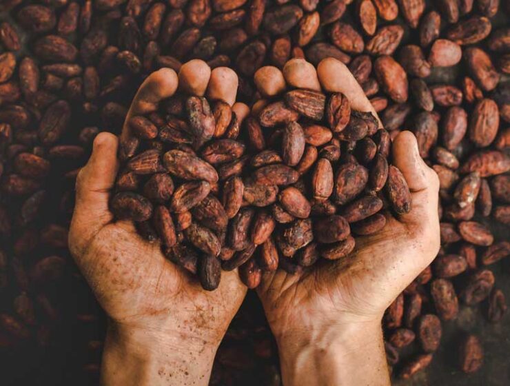 Cacao beans © Pablo Merchán Montes, Unsplash
