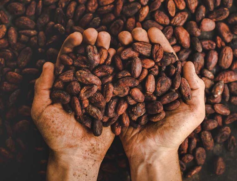 Cacao beans © Pablo Merchán Montes, Unsplash