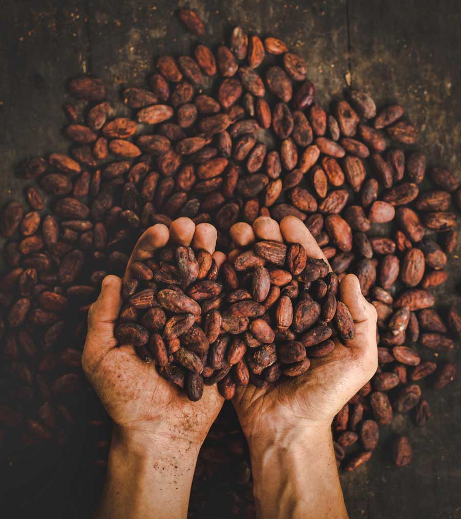 Cacao beans © Pablo Merchán Montes, Unsplash