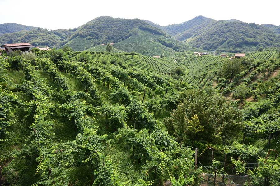 A guide to the Prosecco Road – Italy