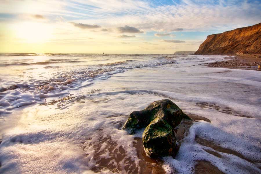 Dinosaur footprint Compton Bay, Isle of Wight