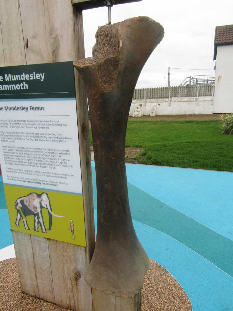 Mammoth bone and Information display, Deep History Point, Mundesley